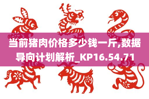 当前猪肉价格多少钱一斤,数据导向计划解析_KP16.54.71