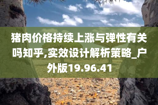 猪肉价格持续上涨与弹性有关吗知乎,实效设计解析策略_户外版19.96.41