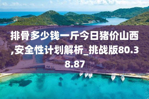 排骨多少钱一斤今日猪价山西,安全性计划解析_挑战版80.38.87