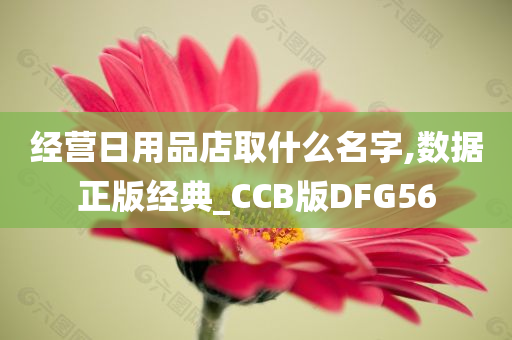 经营日用品店取什么名字,数据正版经典_CCB版DFG56