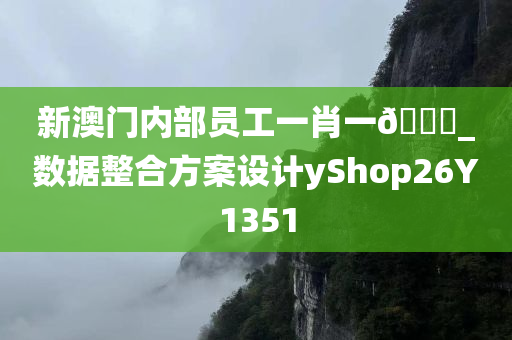 新澳门内部员工一肖一🐎_数据整合方案设计yShop26Y1351