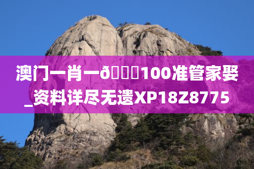 澳门一肖一🐎100准管家娶_资料详尽无遗XP18Z8775