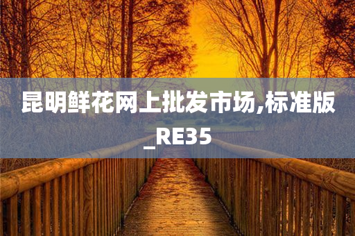 昆明鲜花网上批发市场,标准版_RE35