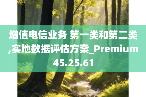 增值电信业务 第一类和第二类,实地数据评估方案_Premium45.25.61