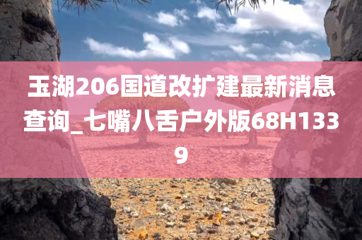 玉湖206国道改扩建最新消息查询_七嘴八舌户外版68H1339