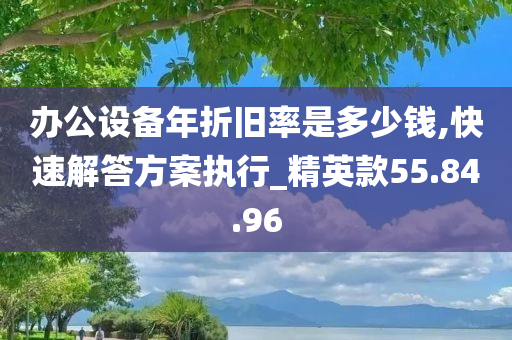 办公设备年折旧率是多少钱,快速解答方案执行_精英款55.84.96