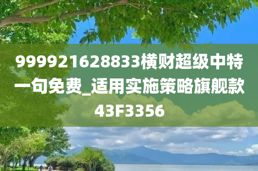 999921628833横财超级中特一句免费_适用实施策略旗舰款43F3356