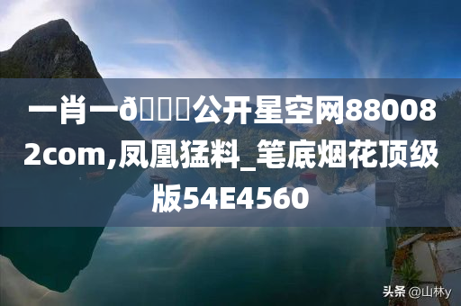 一肖一🐎公开星空网880082com,凤凰猛料_笔底烟花顶级版54E4560