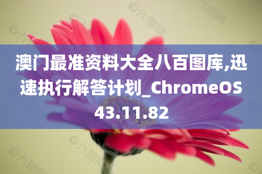 澳门最准资料大全八百图库,迅速执行解答计划_ChromeOS43.11.82