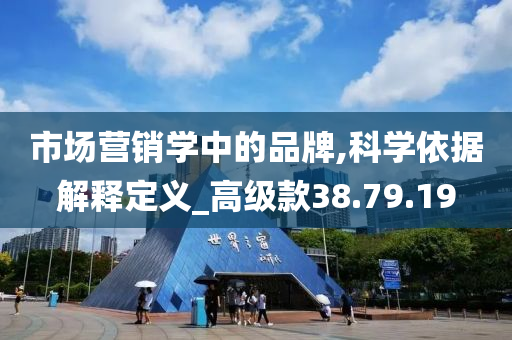 市场营销学中的品牌,科学依据解释定义_高级款38.79.19