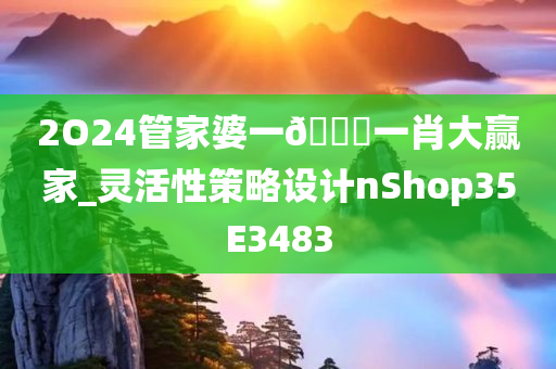 2O24管家婆一🐎一肖大赢家_灵活性策略设计nShop35E3483