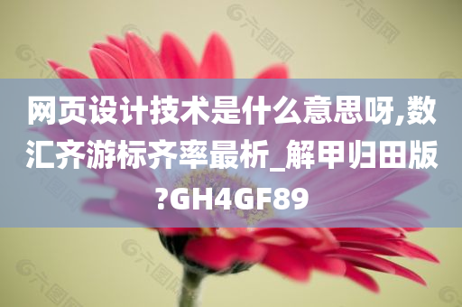 网页设计技术是什么意思呀,数汇齐游标齐率最析_解甲归田版?GH4GF89