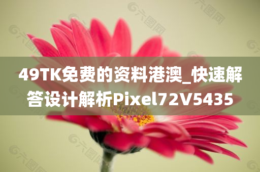 49TK免费的资料港澳_快速解答设计解析Pixel72V5435