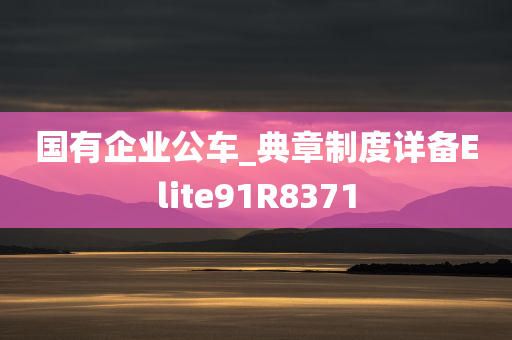 国有企业公车_典章制度详备Elite91R8371