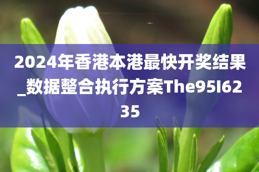 2024年香港本港最快开奖结果_数据整合执行方案The95I6235