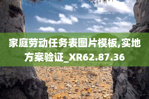 家庭劳动任务表图片模板,实地方案验证_XR62.87.36