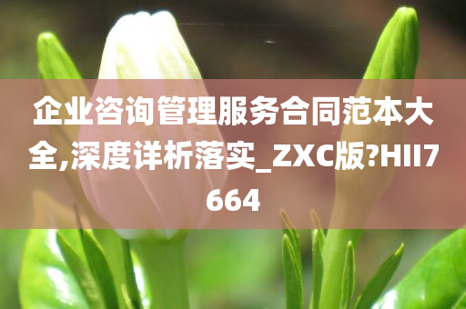 企业咨询管理服务合同范本大全,深度详析落实_ZXC版?HII7664