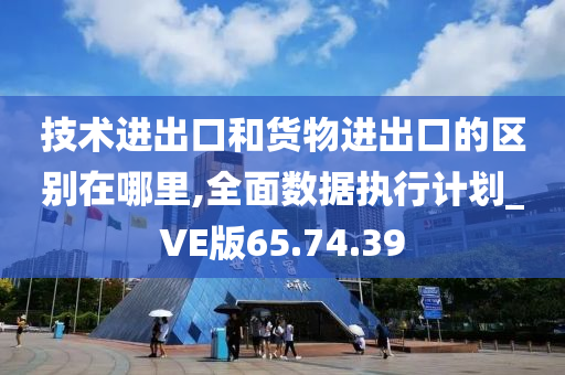 技术进出口和货物进出口的区别在哪里,全面数据执行计划_VE版65.74.39