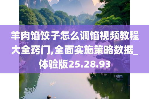 羊肉馅饺子怎么调馅视频教程大全窍门,全面实施策略数据_体验版25.28.93