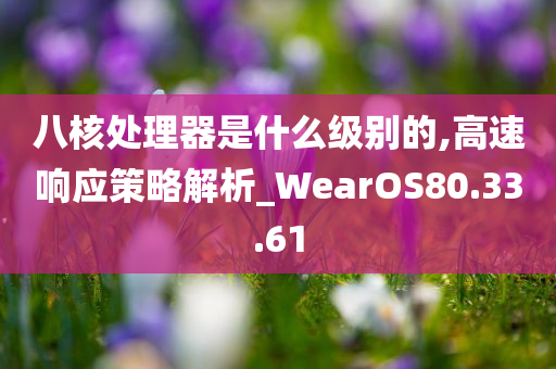 八核处理器是什么级别的,高速响应策略解析_WearOS80.33.61