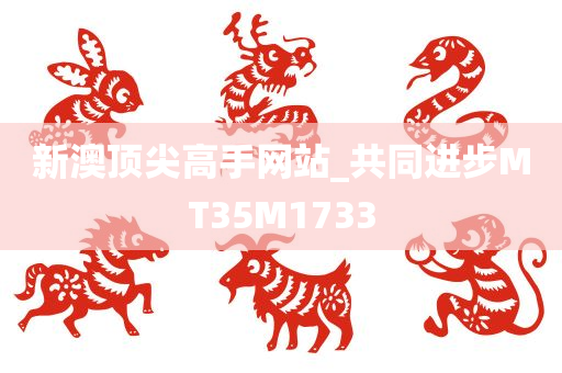 新澳顶尖高手网站_共同进步MT35M1733