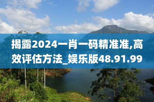 揭露2024一肖一码精准准,高效评估方法_娱乐版48.91.99