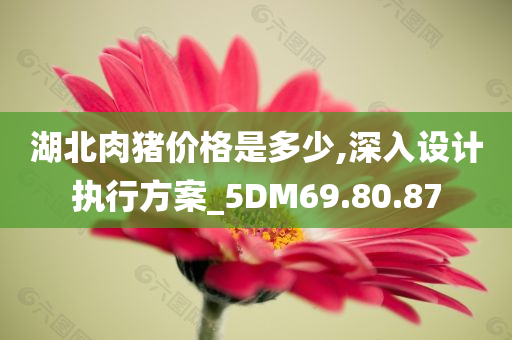 湖北肉猪价格是多少,深入设计执行方案_5DM69.80.87