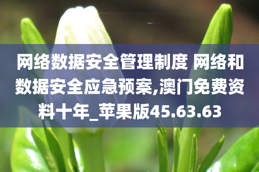 网络数据安全管理制度 网络和数据安全应急预案,澳门免费资料十年_苹果版45.63.63