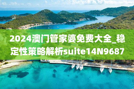 2024澳门管家婆免费大全_稳定性策略解析suite14N9687