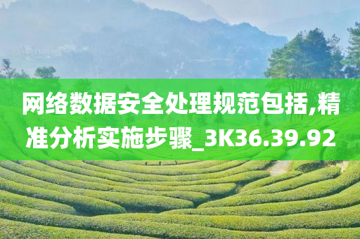 网络数据安全处理规范包括,精准分析实施步骤_3K36.39.92