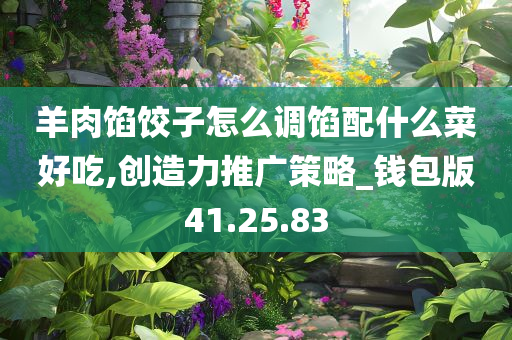 羊肉馅饺子怎么调馅配什么菜好吃,创造力推广策略_钱包版41.25.83