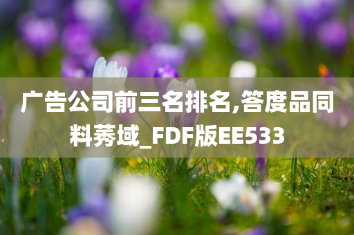 广告公司前三名排名,答度品同料莠域_FDF版EE533