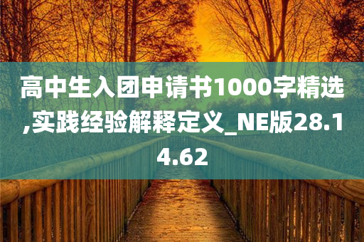 高中生入团申请书1000字精选,实践经验解释定义_NE版28.14.62