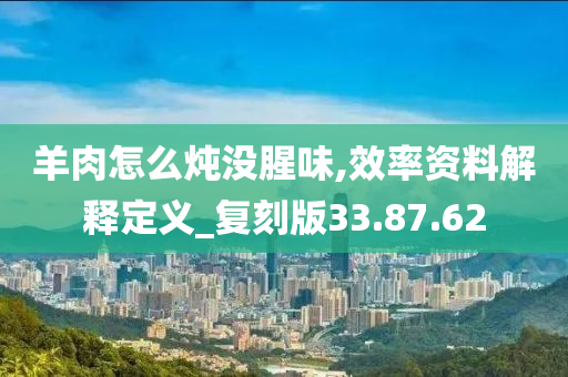 羊肉怎么炖没腥味,效率资料解释定义_复刻版33.87.62