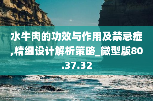 水牛肉的功效与作用及禁忌症,精细设计解析策略_微型版80.37.32