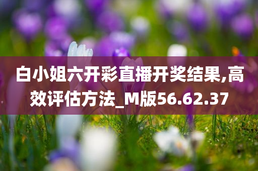 白小姐六开彩直播开奖结果,高效评估方法_M版56.62.37