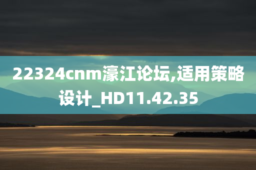 22324cnm濠江论坛,适用策略设计_HD11.42.35