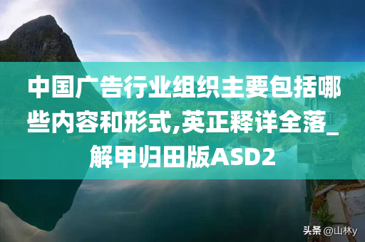 中国广告行业组织主要包括哪些内容和形式,英正释详全落_解甲归田版ASD2