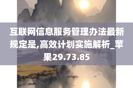 互联网信息服务管理办法最新规定是,高效计划实施解析_苹果29.73.85