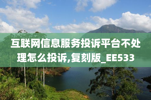 互联网信息服务投诉平台不处理怎么投诉,复刻版_EE533