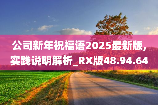 公司新年祝福语2025最新版,实践说明解析_RX版48.94.64