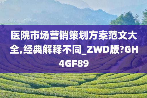 医院市场营销策划方案范文大全,经典解释不同_ZWD版?GH4GF89