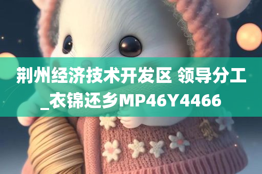 荆州经济技术开发区 领导分工_衣锦还乡MP46Y4466