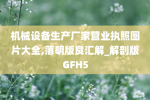 机械设备生产厂家营业执照图片大全,落明版良汇解_解剖版GFH5