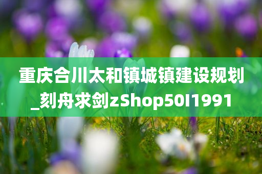 重庆合川太和镇城镇建设规划_刻舟求剑zShop50I1991