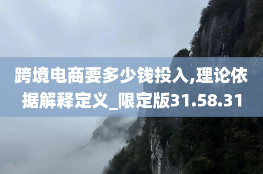 跨境电商要多少钱投入,理论依据解释定义_限定版31.58.31