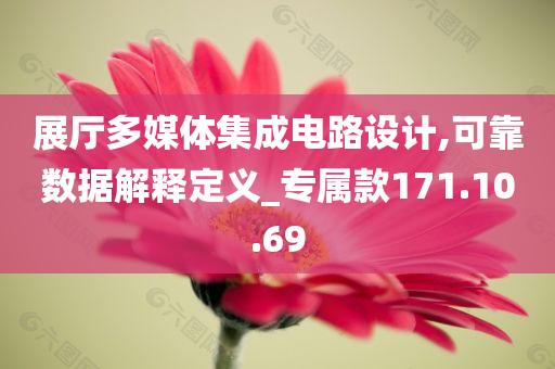 展厅多媒体集成电路设计,可靠数据解释定义_专属款171.10.69