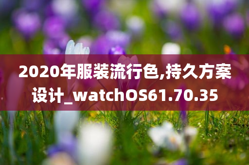 2020年服装流行色,持久方案设计_watchOS61.70.35