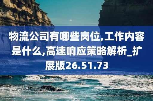 物流公司有哪些岗位,工作内容是什么,高速响应策略解析_扩展版26.51.73