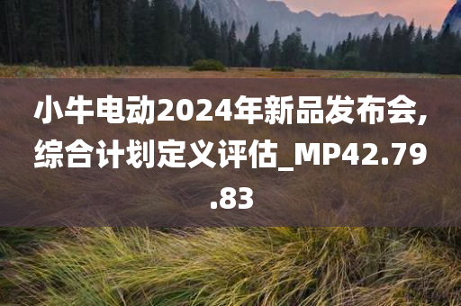 小牛电动2024年新品发布会,综合计划定义评估_MP42.79.83